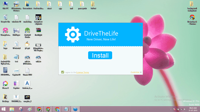 DriveTheLife